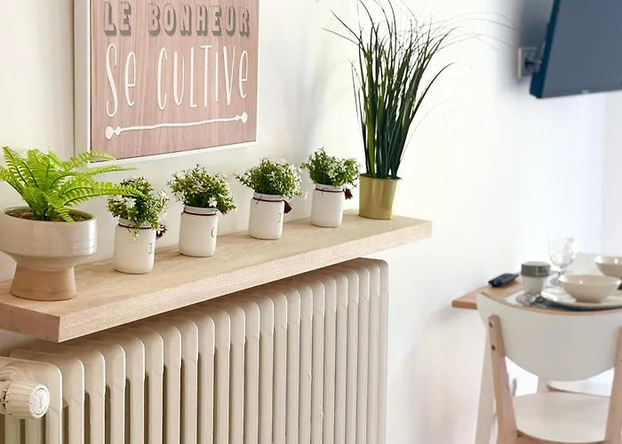 Le Cordouan, Terrasse Exterieure, شقة